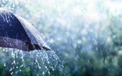 Descubre cómo el mal tiempo protege a los trabajadores de despidos y descuentos salariales