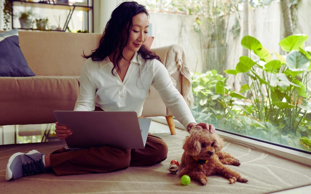 Cámara aprueba permiso laboral por fallecimiento de mascotas: un paso hacia el reconocimiento del bienestar emocional en el trabajo